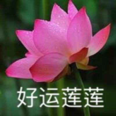 修仙奇侠传满v版下载